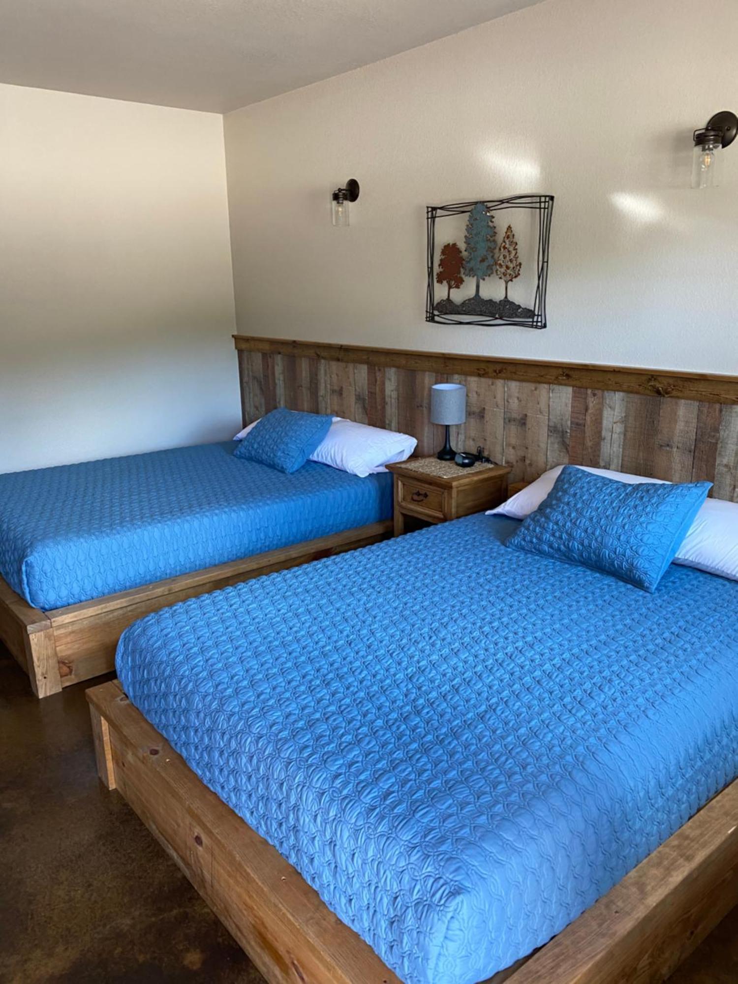 The Woods Lodging Kingston Kamer foto